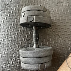 ベンチ台 ＋ダンベルセット(片方10kgずつ)の画像