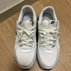 NIKE◾️スニーカー　レオパード　ヒョウ柄　25.0cmの画像