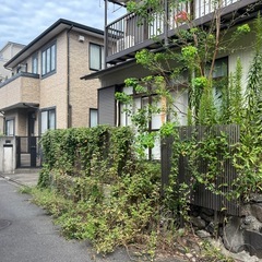草刈り〜何でも