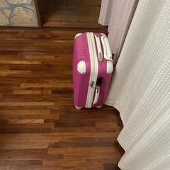 キャリーバックの画像
