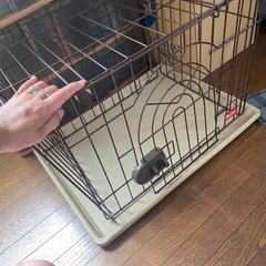金具が見つからないですが代用できる方。犬小屋小and折りたたみケージ　中古の画像