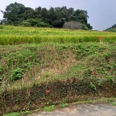 福岡で会いましょう！