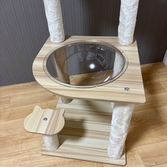 子猫ちゃん用キャットタワー（おデブちゃんには不向きです😨）の画像