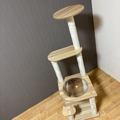 子猫ちゃん用キャットタワー（おデブちゃんには不向きです😨）の画像