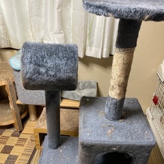 キャットタワー
の画像