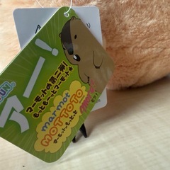 アーー！マーモットの画像