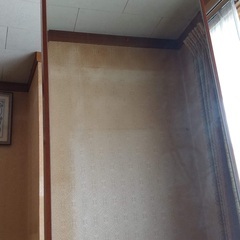姿見★自宅まで取りに来て頂ける方限定で★の画像