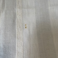 シーツ(カバー)の画像