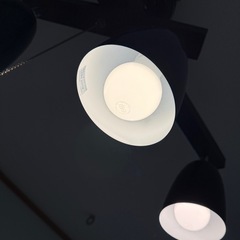 【お渡し決まりました】ペンダントライト　照明　シーリングライト　電球付きの画像