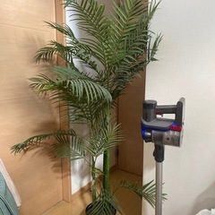 大きいフェイクグリーン　ヤシの木の画像