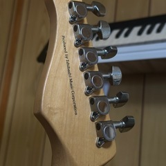 エレキギター 、おまけ付きの画像