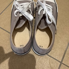 24.5センチ　スニーカー
の画像