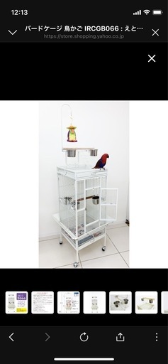 鳥のアイアンゲージ