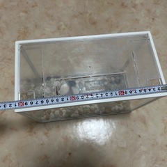 小魚水槽一式の画像