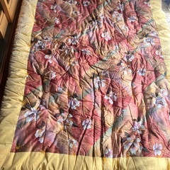 (決まりました⭐️)シングル　掛け布団2枚セットの画像