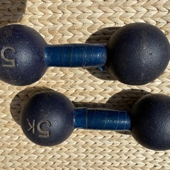中古ダンベル5kg1セットの画像