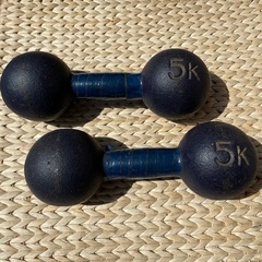 中古ダンベル5kg1セットの画像