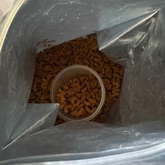 キャットフード　ROYAL CANINの画像