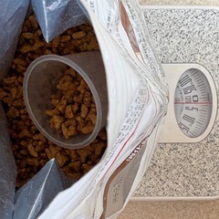 キャットフード　ROYAL CANINの画像