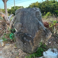 庭石他の画像