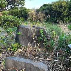 庭石他の画像