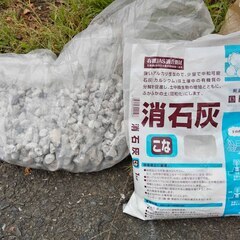 逗子 無料あげます 腐葉土 消石灰 家庭菜園 土いじり 赤玉土 堆肥 鹿沼土 植木 植物 樹木 花壇 花 観葉植物 栽培 アロエ 紫蘇 シソ DIY 畑 農園 木陽樹 ガーデン 盆栽 造園 緑化 庭いじり 菜園 野畑 植木鉢 プラントポット プランター グロスポット 0円 お譲りします 差し上げます テラコッタ ゴーヤー つるむらさき 蔓紫 ツルムラサキ 薬草 夏 緑黄色野菜 庭木 落葉樹 ガーデニング 虫 盆栽 農業 移殖 肥料 剪定 の画像
