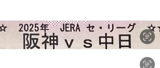 9月26日(金)甲子園　阪神タイガースvs中日ドラゴンズ　ライト外野2枚連番