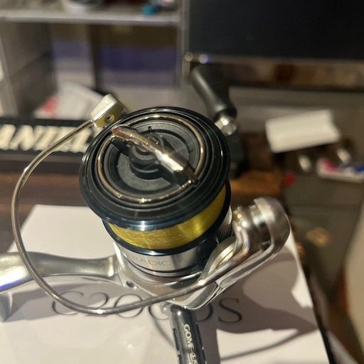 ストラディック 19 c2000s