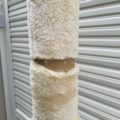 キャットタワーの画像