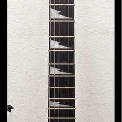 lbanez RGの画像