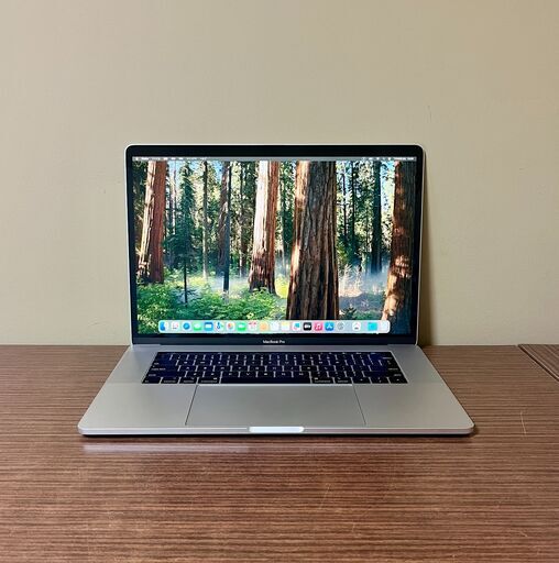 高性能・大画面 MacBook Pro 2019 - i9、32GB、512GB (6317) (うみ