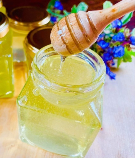 西洋蜜蜂　種蜂（予約）養蜂サポート付き