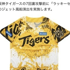 9月26日(金)甲子園　阪神タイガースvs中日ドラゴンズ　ライト外野2枚連番の画像