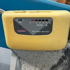 電気カーペットの画像
