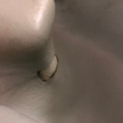 バンボの画像