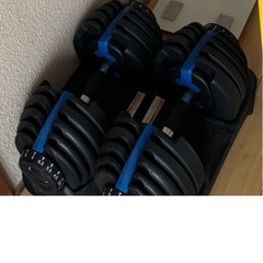 可変式ダンベル 24kg × 2個セットの画像