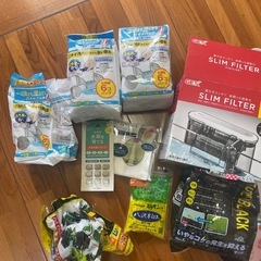グッピー
の画像
