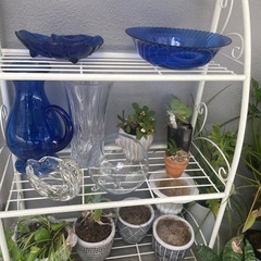 植物、雑貨の画像