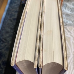 ハリーポッターと炎のゴブレット上、下の画像