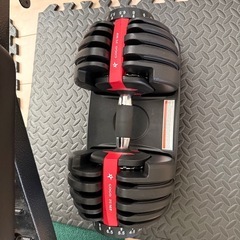 可変式ダンベル、ベンチ
セットの画像