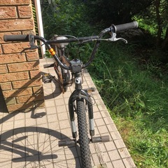 ①　doppelgänger bmx. dx. 24 の画像