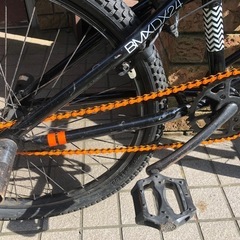 ①　doppelgänger bmx. dx. 24 の画像