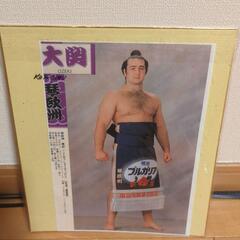 琴欧洲プリントサイン色紙の画像
