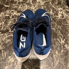 Nike ライバルフライ（26.5cm）
の画像