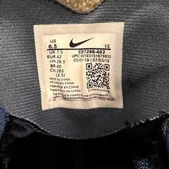 Nike ライバルフライ（26.5cm）
の画像