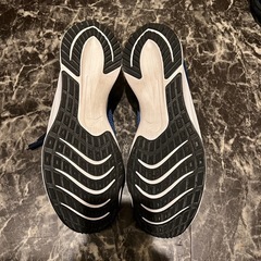 Nike ライバルフライ（26.5cm）
の画像