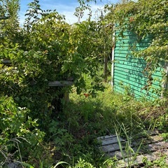 畑などで空き地を利用したい方いませんか？の画像