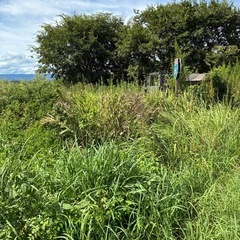 畑などで空き地を利用したい方いませんか？の画像