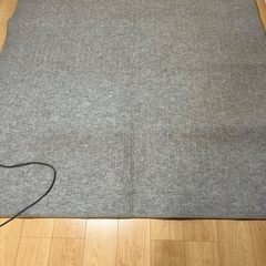 2畳用ホットカーペットの画像