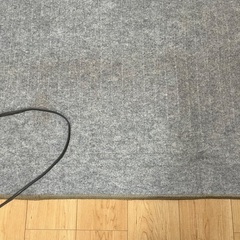 2畳用ホットカーペットの画像